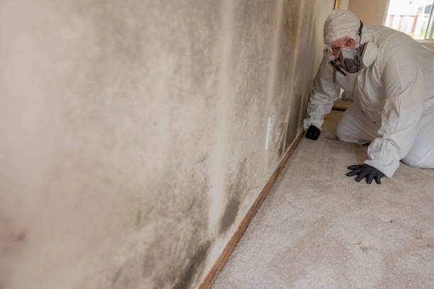Best Residential Mold Inspection & Testing  in Charlestown, IN